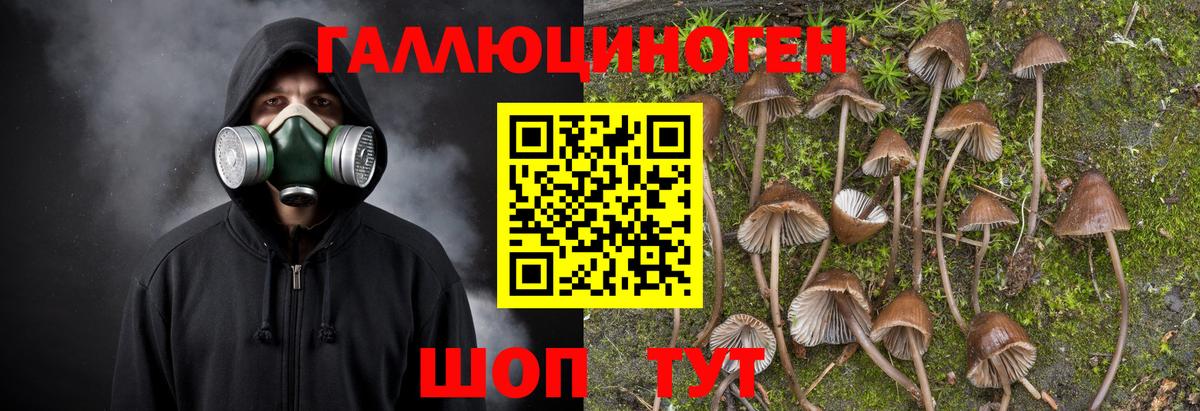Галлюциногенные грибы GOLDEN TEACHER Кунгур