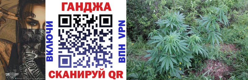 Бошки марихуана Amnesia Кунгур